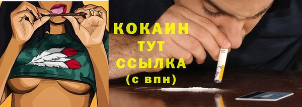 спиды Абаза