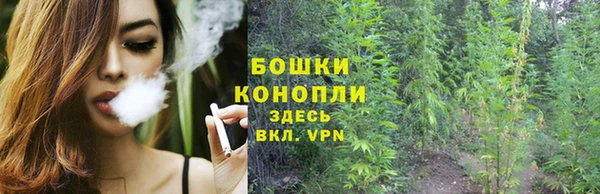 гидра Пролетарск