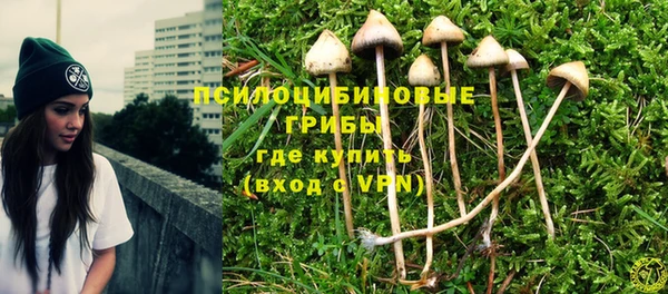 спиды Абаза